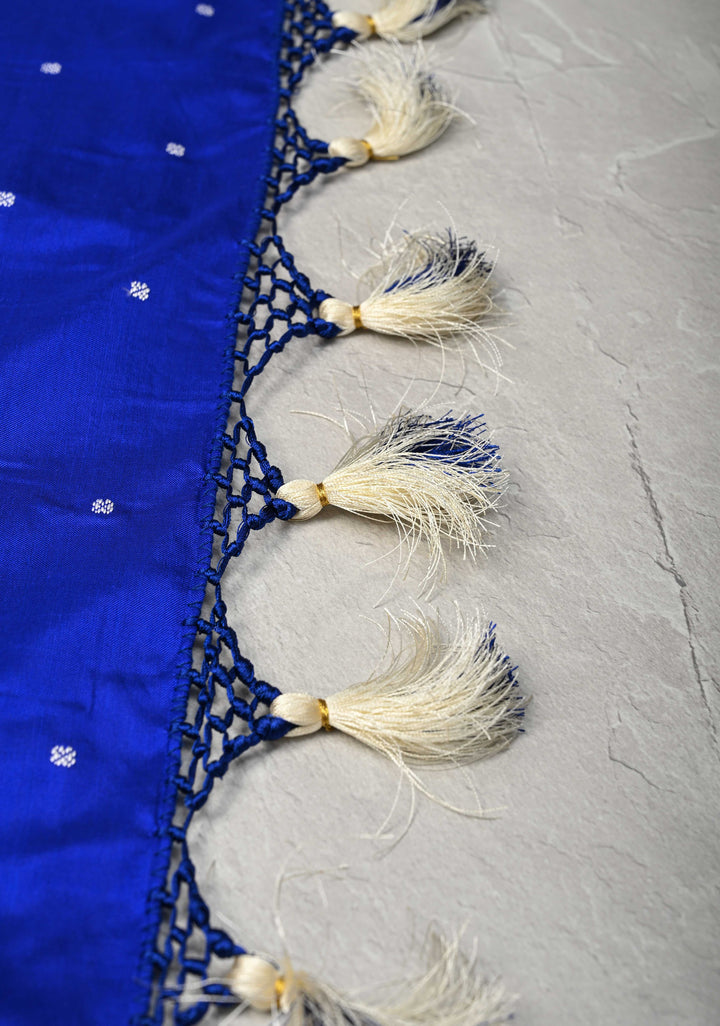 Blue and white Pochampally Ikkat Pure Silk Saree Geometric Brocade and Contrast Zari  Border | SILK MARK CERTIFIED