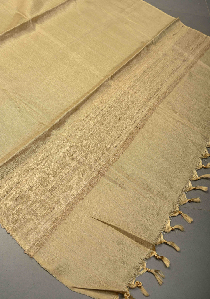 Tan Gold Banana Silk Stole with Hand-Woven Tussar Pannel and Tassels | SHOBITAM