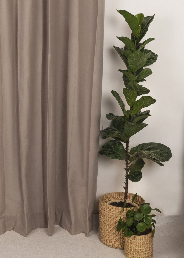 Solid Walnut Grey 100% cotton plain curtain for bedroom - Room darkening - Single Piece | SHOBITAM