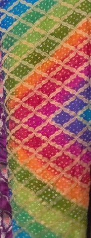 Authentic Rainbow Hand Bandhej Banarasi Jaal Silk Georgette Saree with Purple Zari Border | SILK MARK CERTIFIED