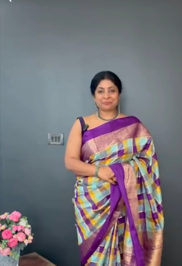 Exquisite Multicolor Banarasi Katan Silk Saree with Checks and Kanjivaram Style Borders | SILK MARK CERTIFIED | SHOBITAM