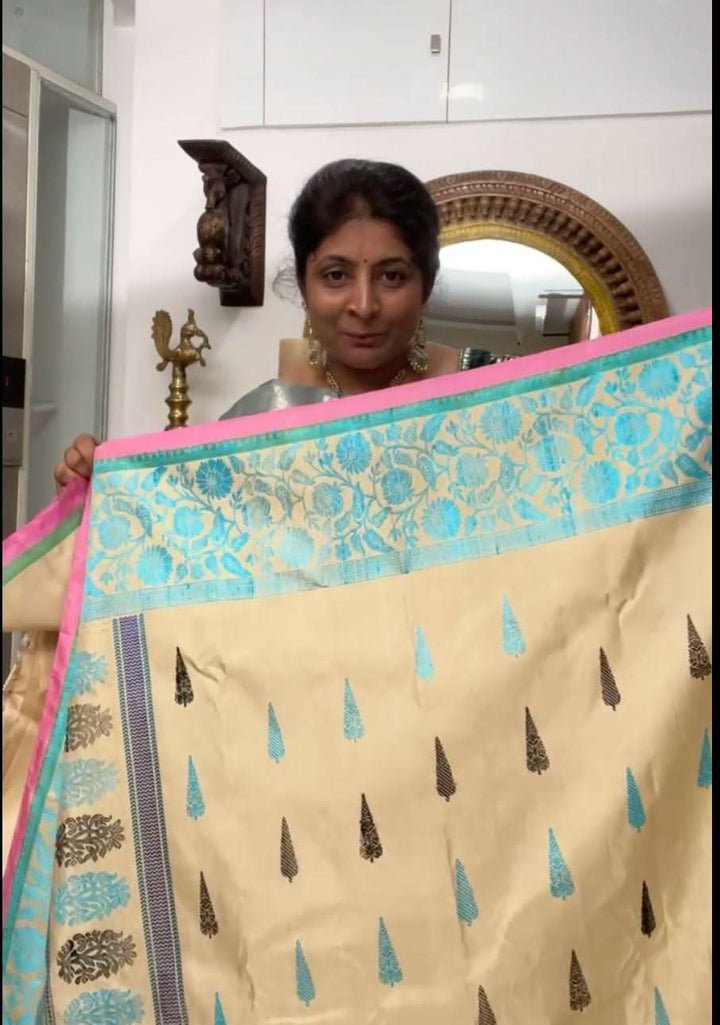 Stunning Beige Pure Gadwal Silk Saree with Thread Buttas and Contrast Bluish  Border | SILK MARK CERTIFIED