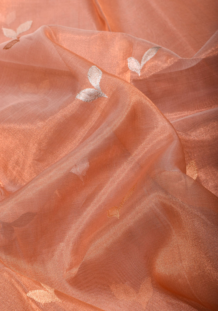 Stunning Light Peach Tissue Pure Silk Banarasi Saree with Sona Rupa Damask Motifs and Gold Zari Border | SILK MARK CERTIFIED