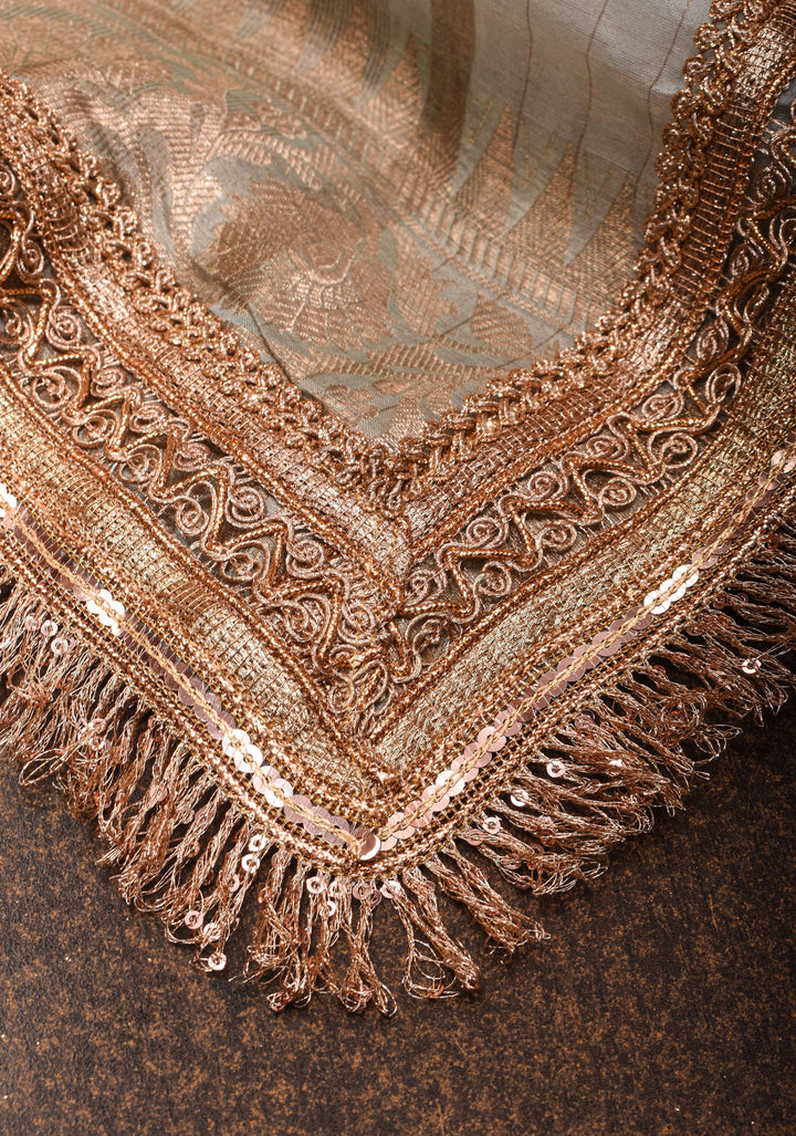 Off White Pure Organza Silk Saree with Floral Digital Print and Lace Trim Border | SILK MARK CERTIFIED