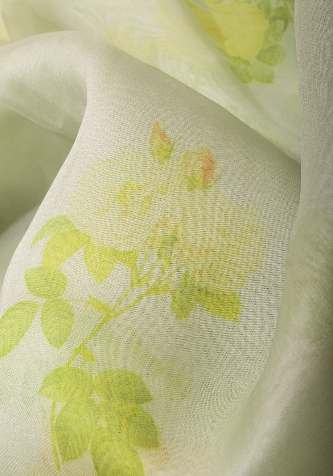 Off White Pure Organza Silk Saree with Floral Digital Print and Lace Trim Border | SILK MARK CERTIFIED