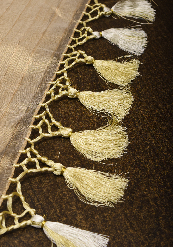 Tan Gold Banarasi Tissue Silk Saree with Sona Rupa Buttas and Zari Border | SILK MARK CERTIFIED