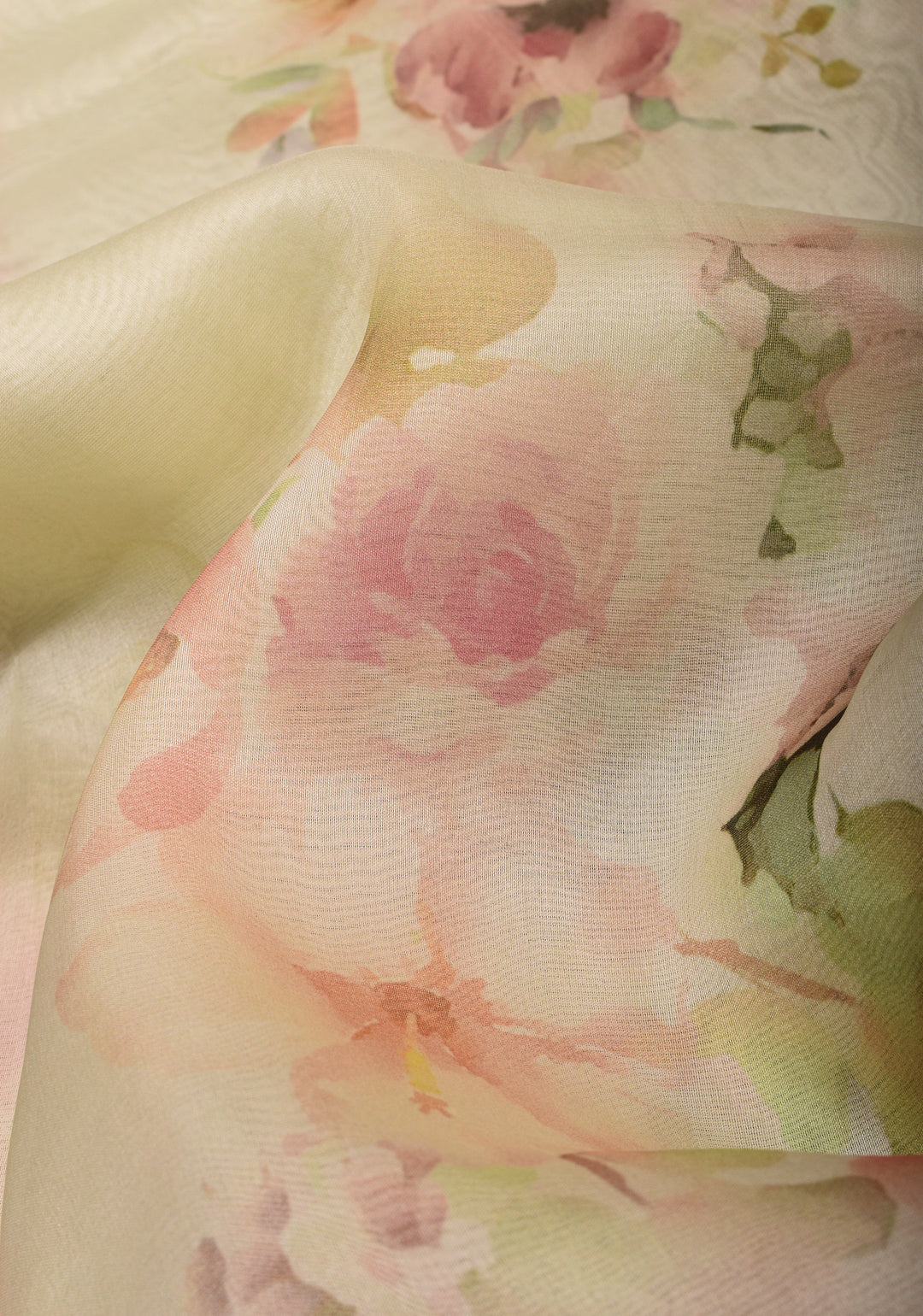 Pure Organza Silk Saree in Off-White with Floral Digital Print and Lace Trim Border | SILK MARK CERTIFIED