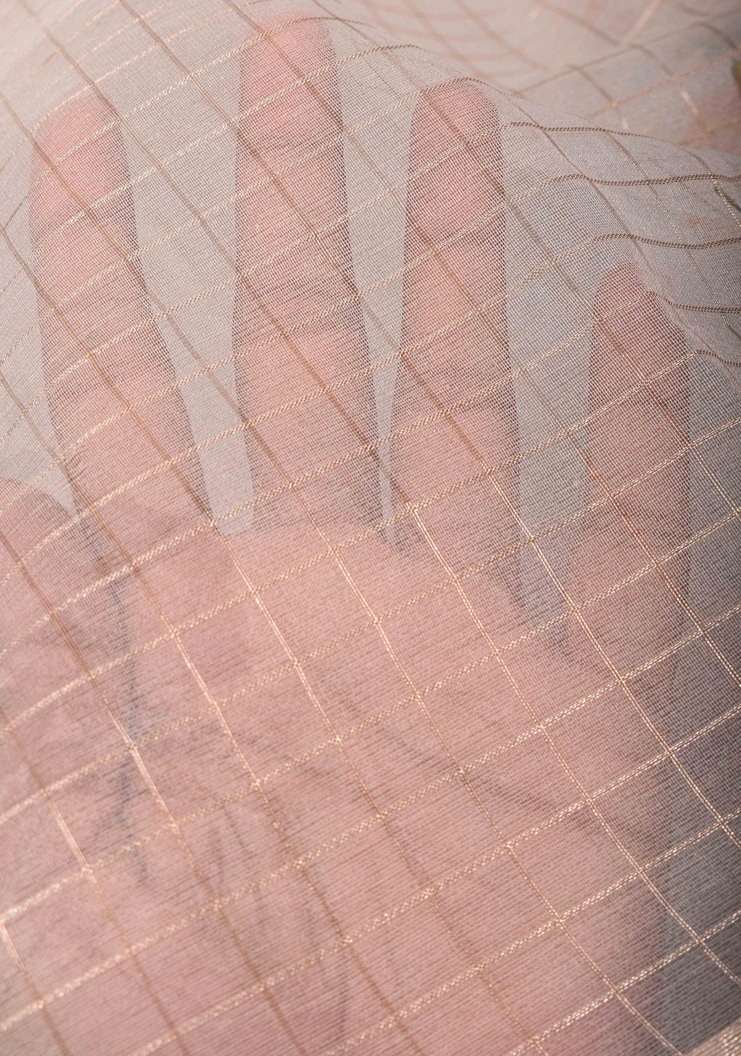 Checks Pure Organza Silk Saree in Gray with Floral Digital Print and Zari Border | SILK MARK CERTIFIED