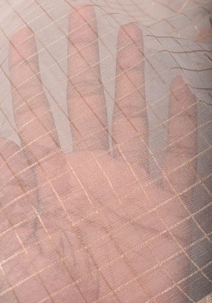 Checks Pure Organza Silk Saree in Gray with Floral Digital Print and Zari Border | SILK MARK CERTIFIED