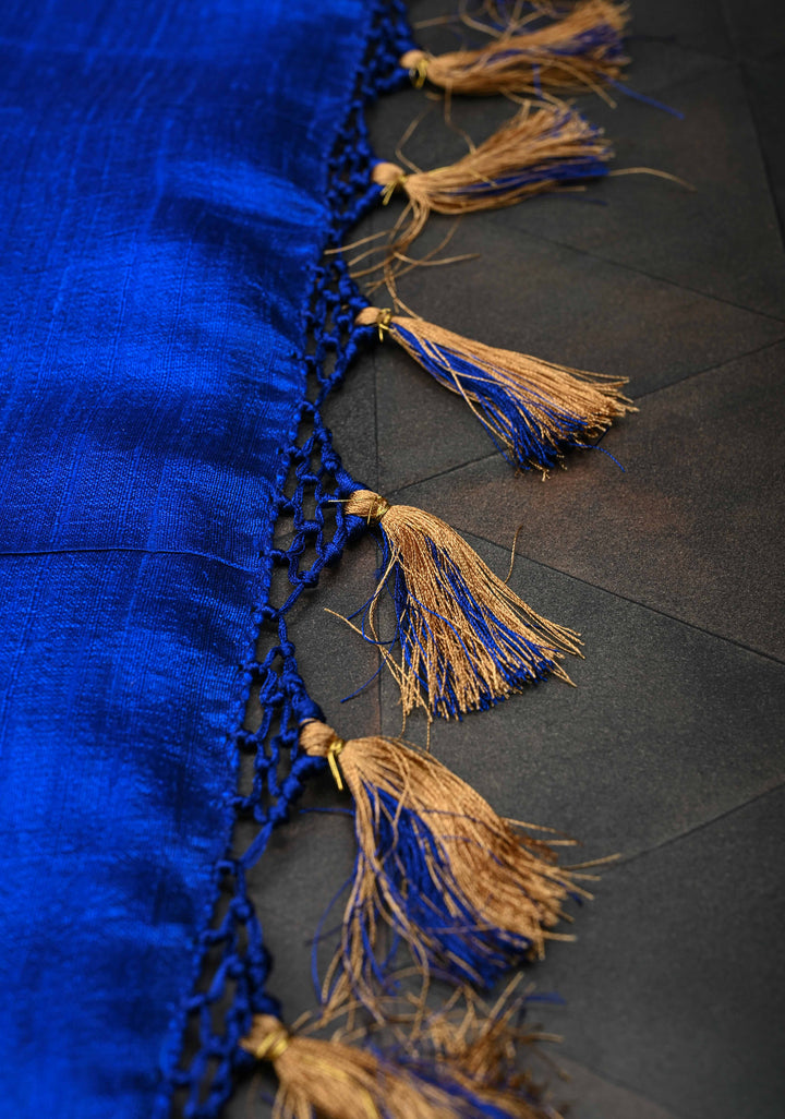 Royal Blue Borderless Banarasi Raw Silk Saree with Damask Antique Zari Buttas | SILK MARK CERTIFIED