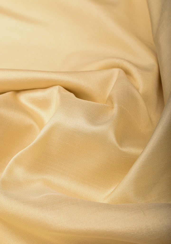 Beige Banarasi Katan silk saree with Paisley Zari Border | SILK MARK CERTIFIED