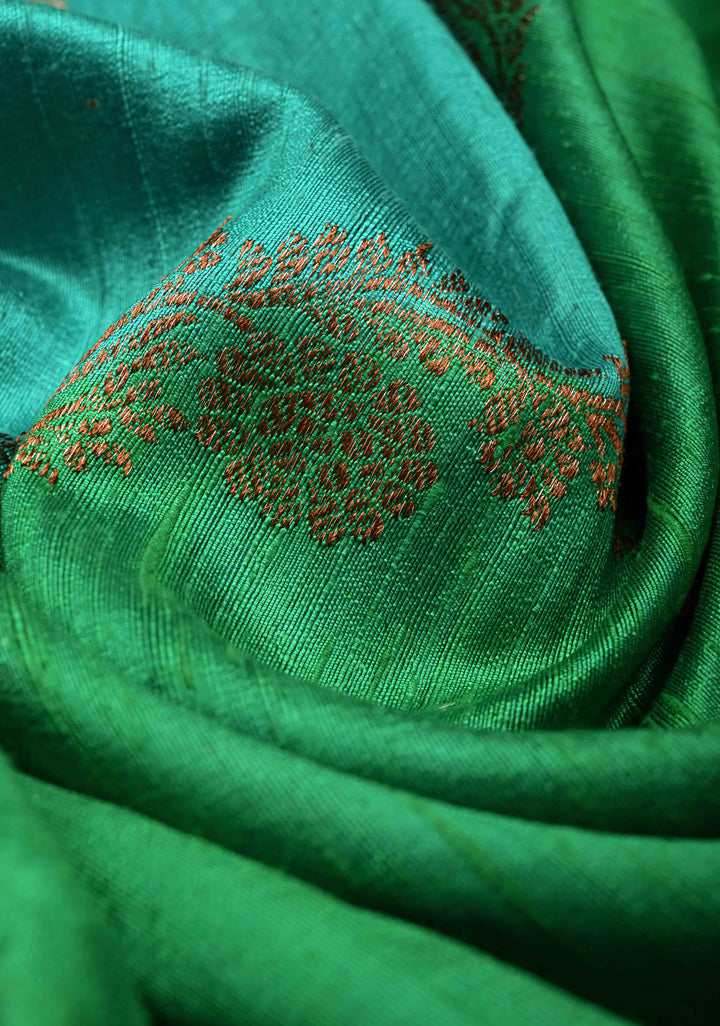 Multicolor Borderless Raw Silk Banarasi Brush Dye Saree with Rangkaat Style and Antique Zari Daignoal Stripes | SILK MARK CERTIFIED