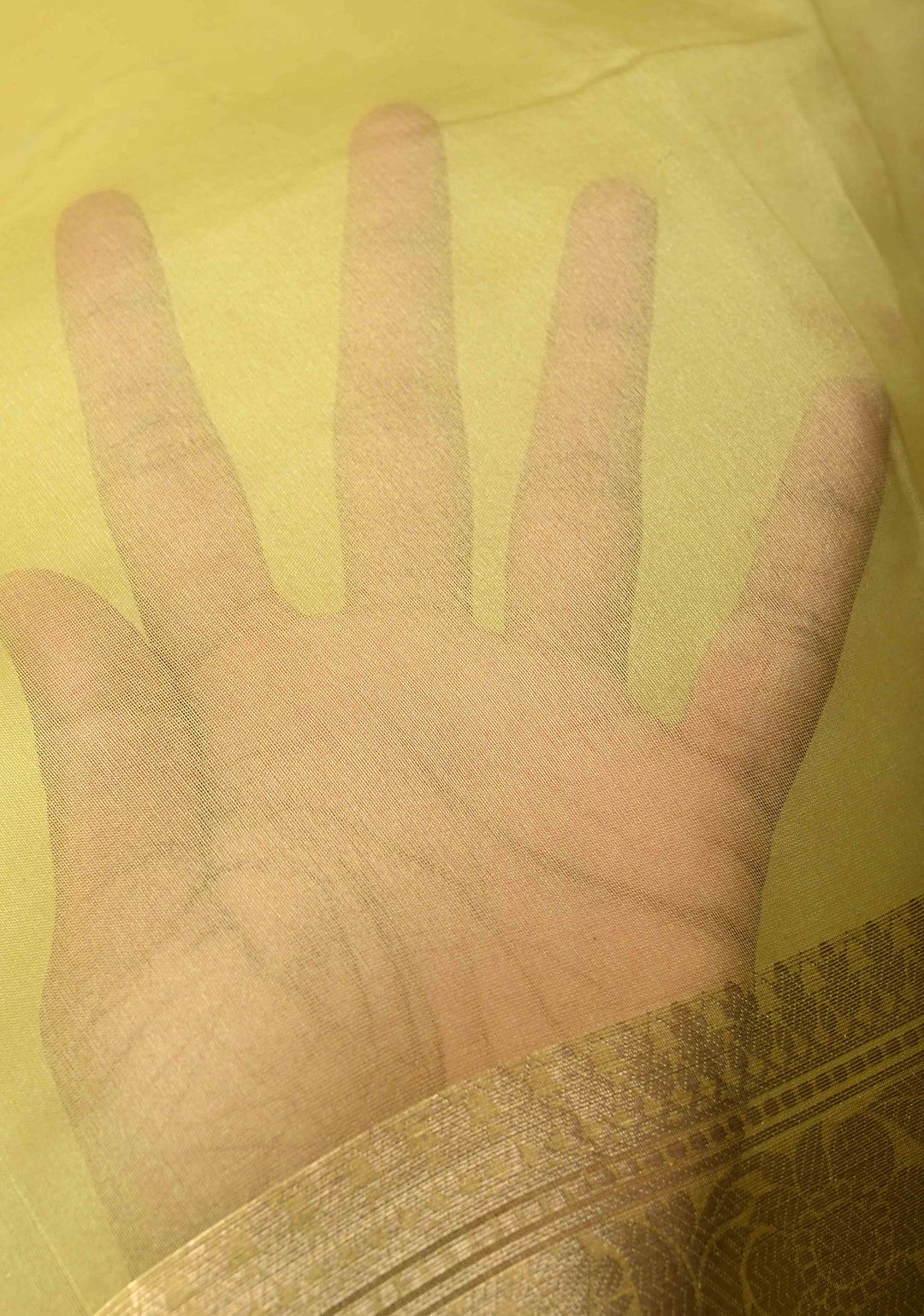 Musturd Yellow Pure Organza Silk Saree with Floral Digital Print and Zari Border | SILK MARK CERTIFIED