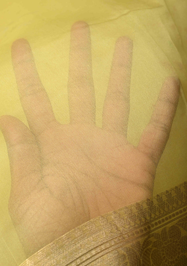 Musturd Yellow Pure Organza Silk Saree with Floral Digital Print and Zari Border | SILK MARK CERTIFIED