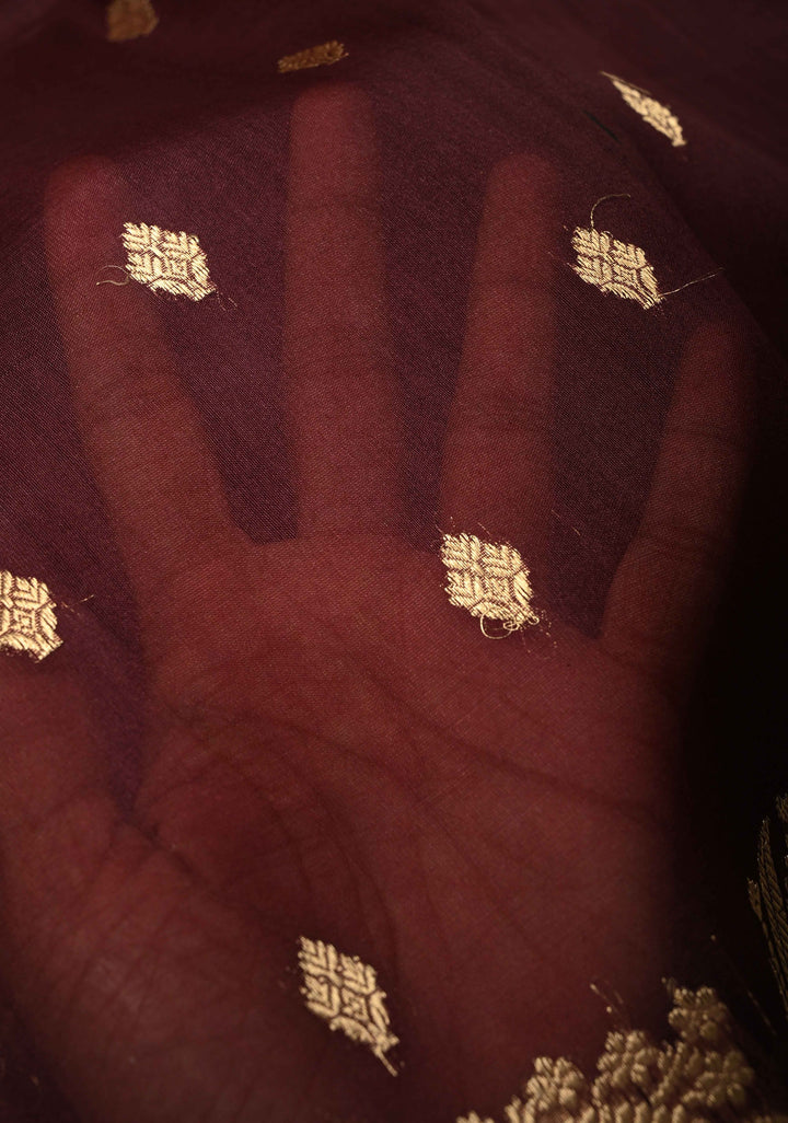 Rich Brown Pure Banarasi Organza Silk Saree with Zari Butta  Scallop Border | SILK MARK CERTIFIED