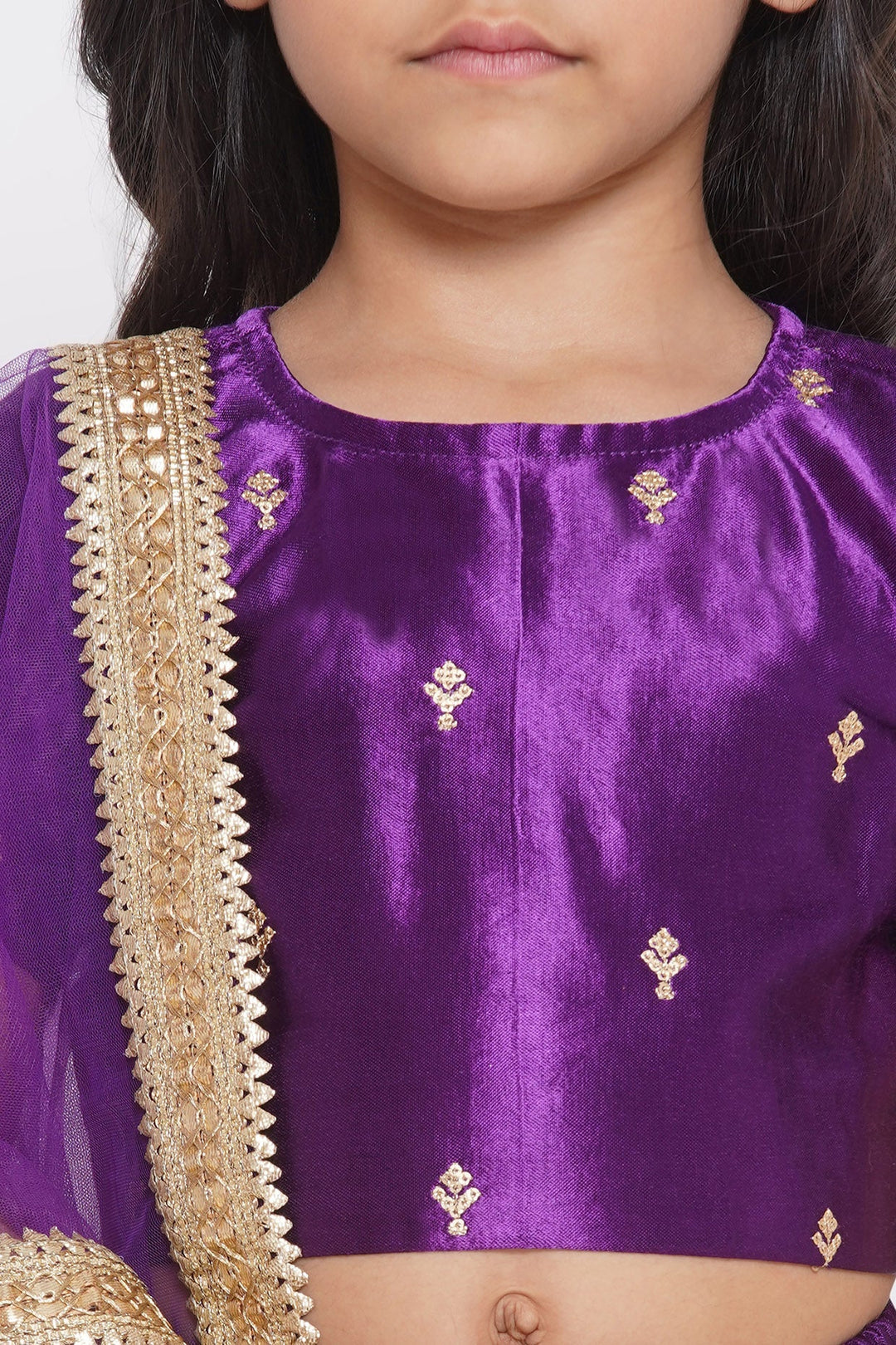 Silk Blouse with Lehenga and Dupatta with Sequins Work | SHOBITAM
