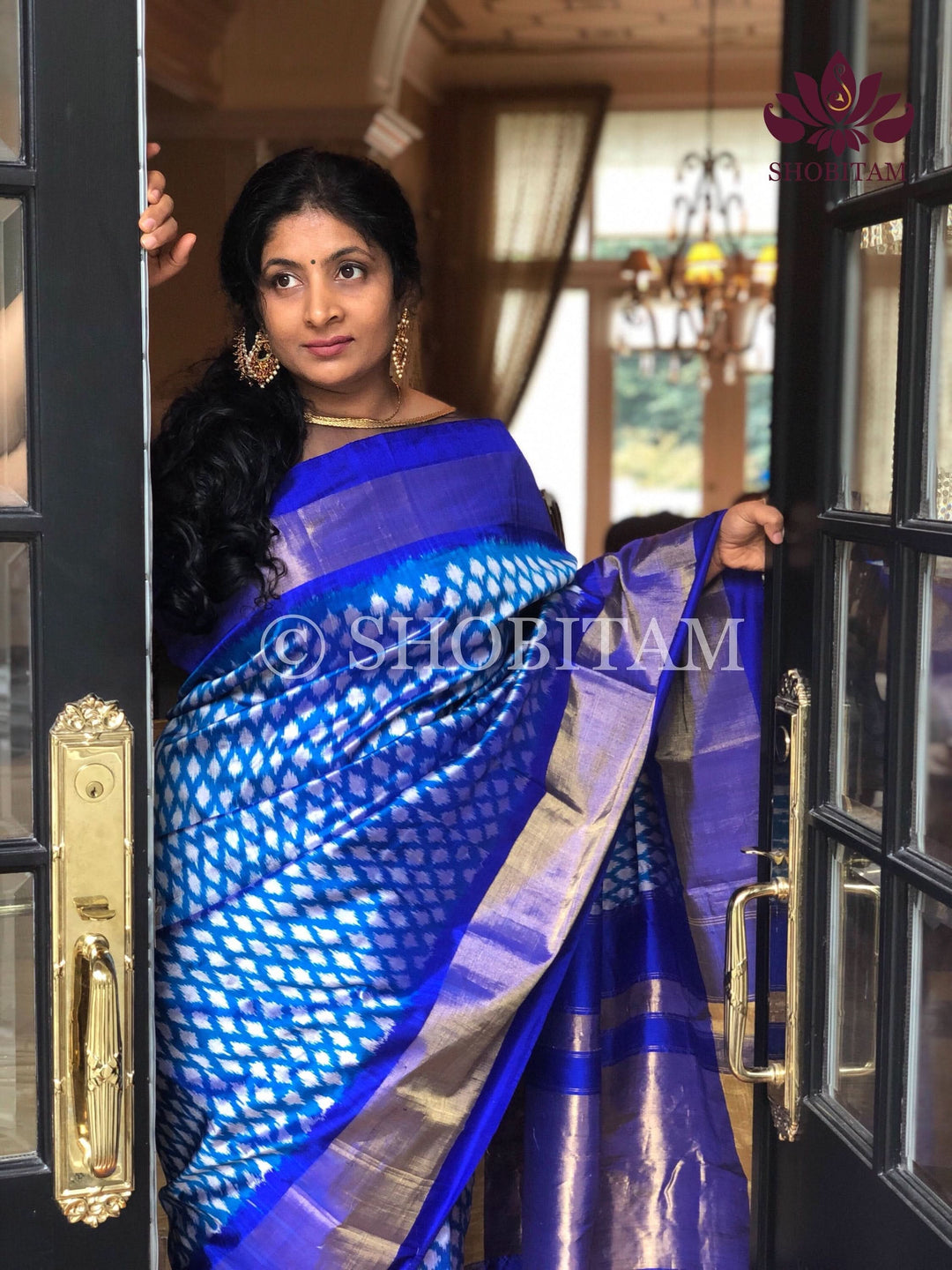 Shades of Blue - Ikkat Pochampally Pure Silk Saree | Silk Mark Certified