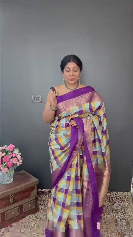 Exquisite Multicolor Banarasi Katan Silk Saree with Checks and Kanjivaram Style Borders | SILK MARK CERTIFIED | SHOBITAM