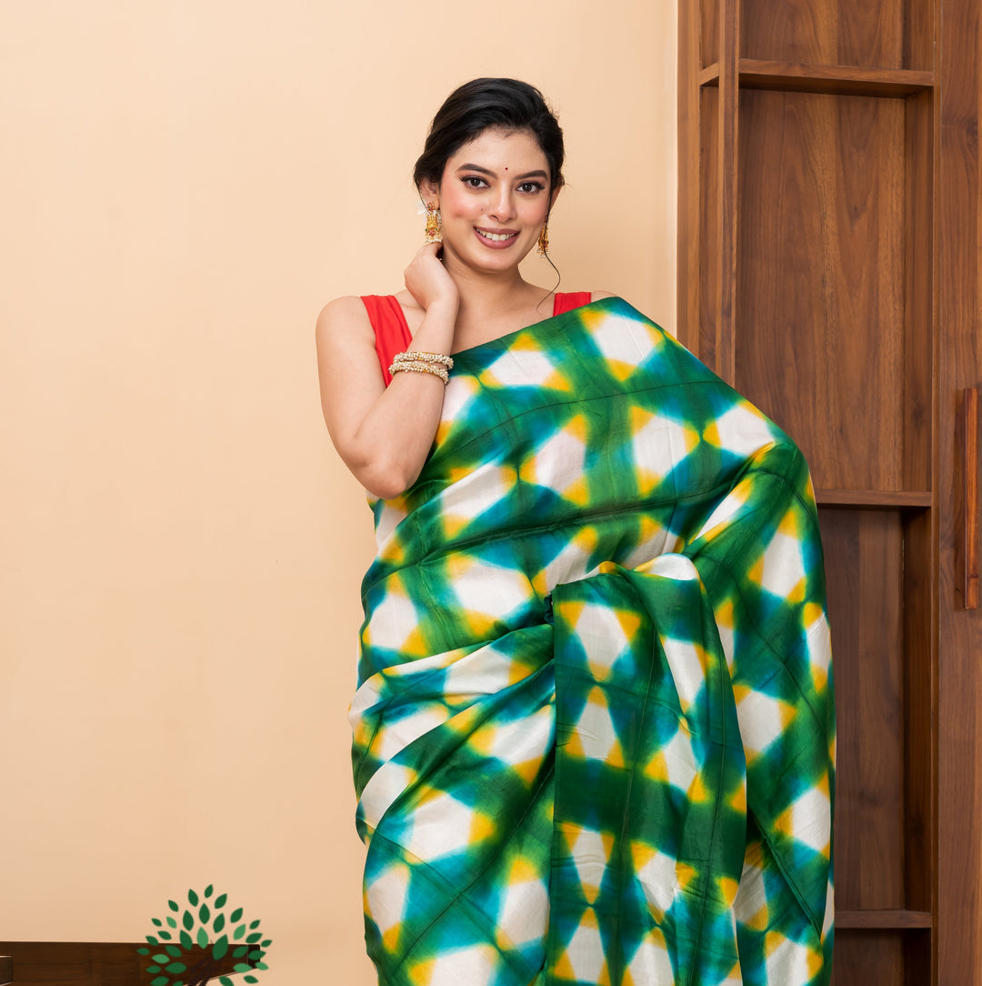 Half n half tien dye pure silk saree  | SILK MARK CERTIFIED | SHOBITAM