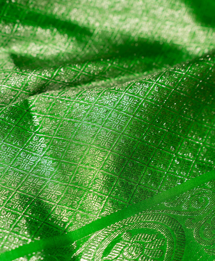 Sea Green With Green Borderless Venkatatgiri Silk Saree Sindhubhairavi | SILK MARK CERTIFIED | SHOBITAM