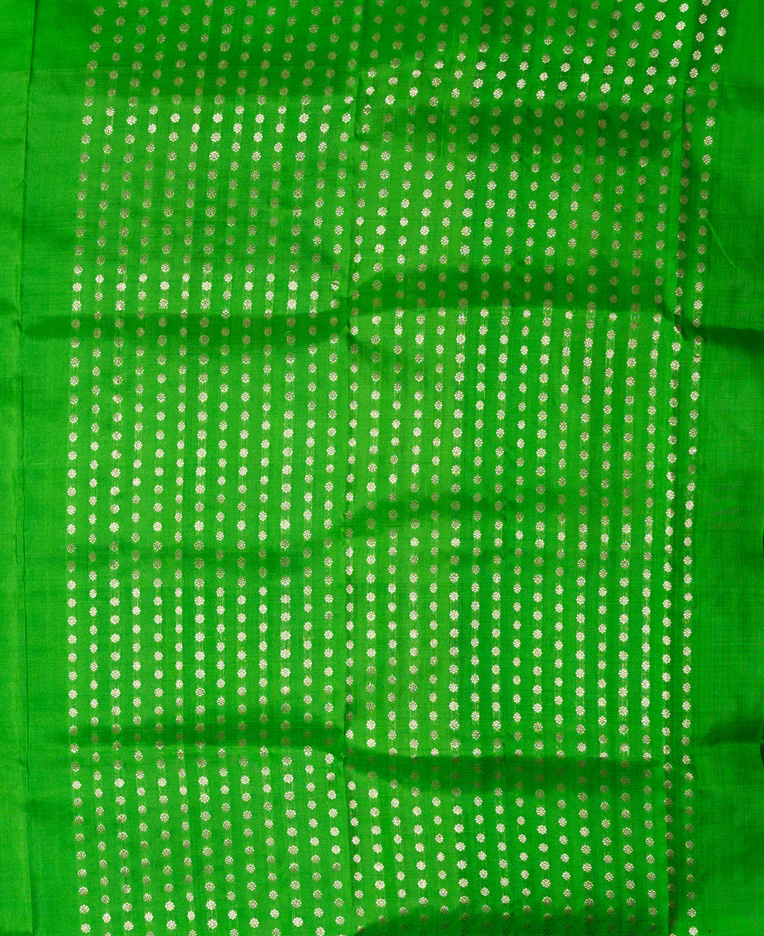 Sea Green With Green Borderless Venkatatgiri Silk Saree Sindhubhairavi | SILK MARK CERTIFIED | SHOBITAM
