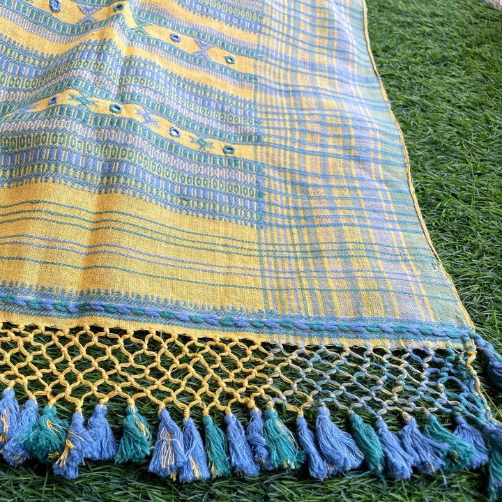 Basant Bhujodi Saree in Kala Cotton | SHOBITAM
