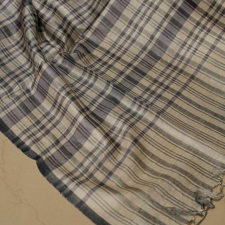 White With Black Tussar Handloom Silk Saree | SILK MARK CERTIFIED | SHOBITAM